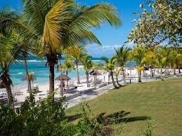 EXCLUSIVITE
Delphine MIRANDA pour BSK Immobilier
Sainte Anne - Section SEO - Résidence Pierre et Vacances
Vous souhaitez faire un investissement locatif au sein d'une résidence village vacances vouée à la location saisonnière alors j'ai l'appartement
qu'il vous faut!
Au sein de la résidence sécurisée de Pierre et Vacances bénéficiant d'un grand domaine dotée d'une cocoteraie , deux restaurants de plage ,
des animations, un club enfant, 2 piscines et un accès mer direct, cet appartement est idéal pour votre pied à terre et un investissement en
exploitation saisonnier.
Idéalement situé en bord de plage et à quelques minutes du centre-ville et des commodités vous offrez à vos vacanciers un site renommé et
recherché, et un pied à terre idyllique.
Notre appartement se compose d'une entrée avec rangements, une salle d'eau avec douche à l'italienne et toilettes, une pièce de vie
climatisée coin chambre, salon et bureau et une terrasse abritée avec cuisine aménagée vue dégagée sur le jardin de la résidence et dotée
d'une pleine vue mer directe .
Il est vendu meublé clé en main avec réservations en cours sur 2026- 2027 à reprendre.
Alors n'hésitez pas à me contacter pour de plus amples informations, accéder à la vidéo complète , merci de privilégier le premier contact par
whatsapp appel ou message .