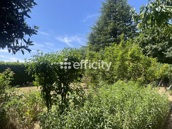 Maison 7 pièces - 200 m² Exclusivité efficity