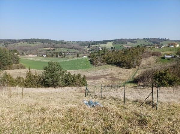 Parcelle bois prairie Saint pierre de chignac