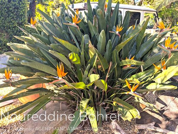 Immobilier Grimaud (83310) – Maison 251m2 – 3 200 000 €