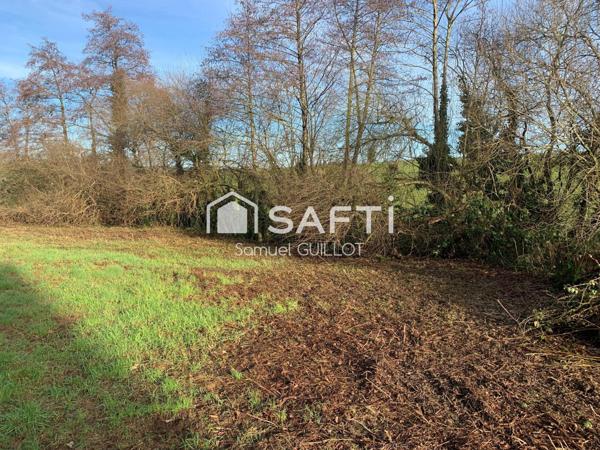 Maison en pierre à rénover avec grand terrain