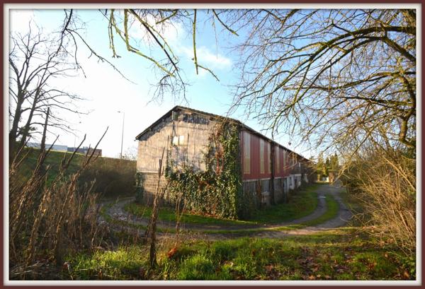 Dpt Lot et Garonne (47), EXCLUSIVITÉ CAPIFRANCE – AGEN – TERRAIN 3 519 M² AVEC BÂTI – FORT POTENTIEL INVESTISSEUR