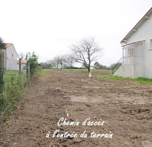 Terrain constructible à vendre de 2552 m² au calme à SAINT JULIEN L'ARS