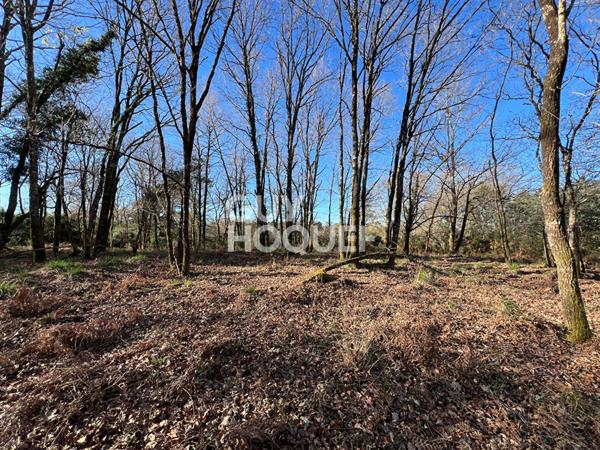 A VENDRE : Terrain constructible de1021 m2 à Castets ( 40260)