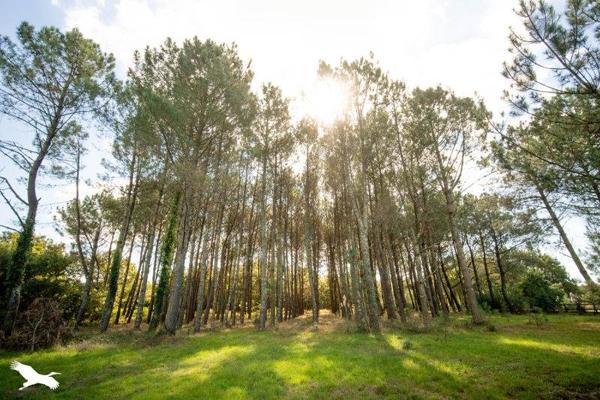 Maison à vendre |  Mimizan |  6 pièces | 90 m²