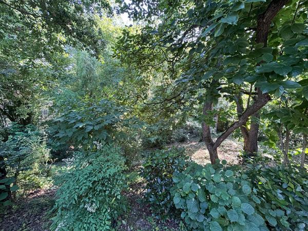 Maison familiale spacieuse avec piscine à Ramonville Saint Agne - Rare sur le marché !