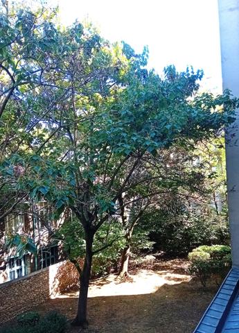 Appartement · Vente Paris (75019) 2 pièces · 36m²