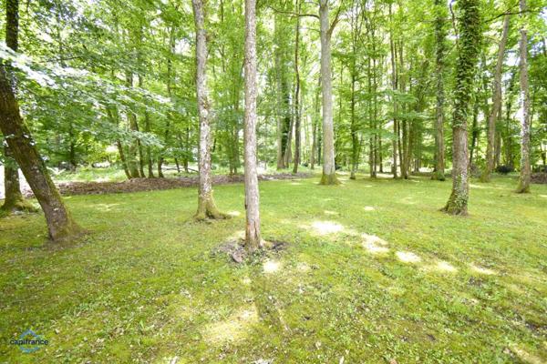 Maison à vendre 7 pièces CELLETTES (41)