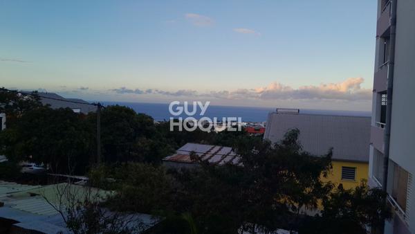 Appartement Saint Denis 2 pièce(s)