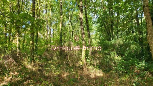 Terrain à vendre de 3 520 m²