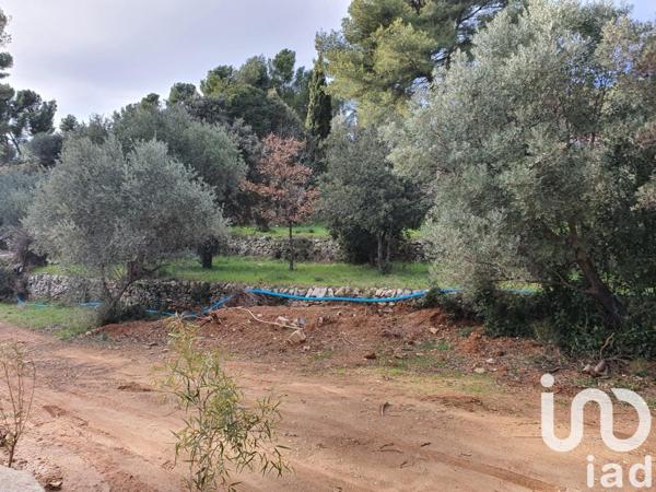 Terrain à vendre 1 055 m² Ollioules