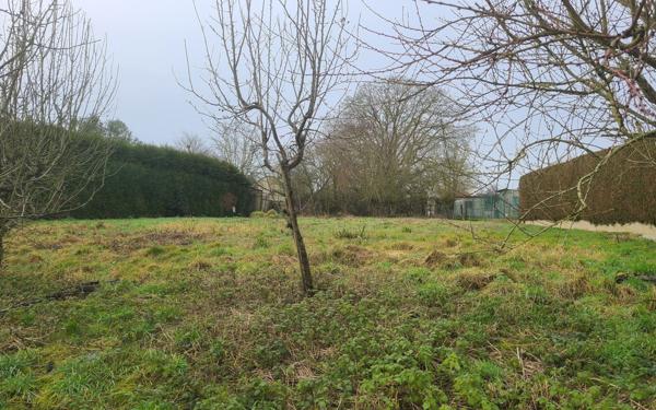 Terrain à vendre    La Ferté-Milon