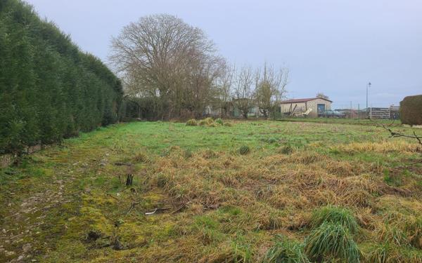 Terrain à vendre    La Ferté-Milon