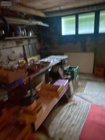 Pavillon à vendre à Eurville-Bienville en Haute-Marne (52410), ref : JO/974