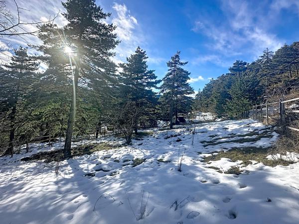 À vendre: Terrain à bâtir à Andon