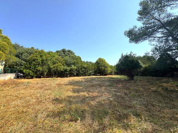 Terrain 1379 m2