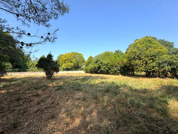 Terrain 1379 m2