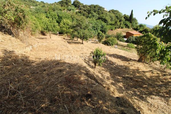 PILA-CANALE — Rare : Grand terrain en restanques de 2 154 m2avec bâtisse traditionnelle en granit à réhabilite