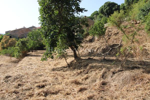 PILA-CANALE — Rare : Grand terrain en restanques de 2 154 m2avec bâtisse traditionnelle en granit à réhabilite