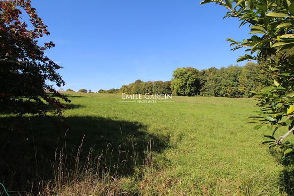 A VENDRE - Donnemarie-Dontilly 77- Maison Familiale, 8 ch, piscine