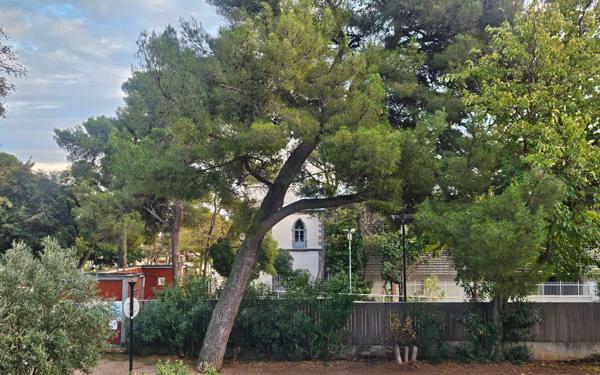 Appartement à vendre    2 pièces • 32,55 m2 Balaruc-les-Bains