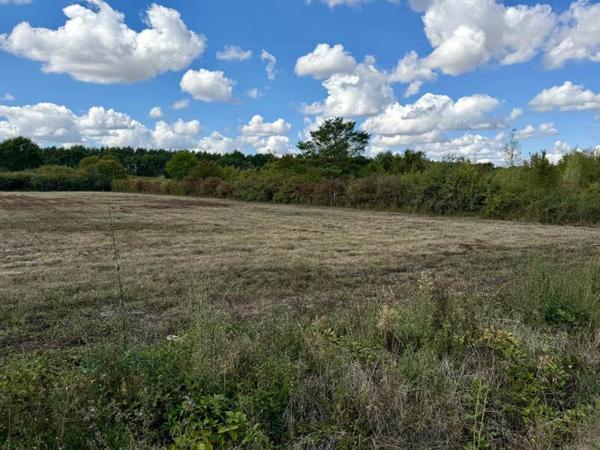 Terrain 37 500 € Sassay 701 m² DPE