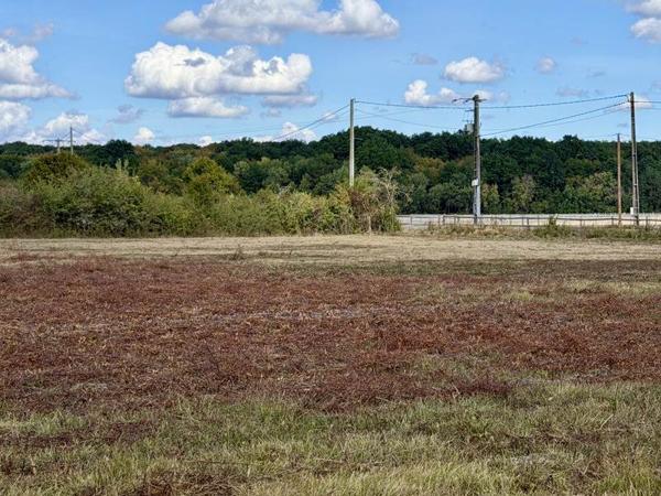Terrain 37 500 € Sassay 701 m² DPE