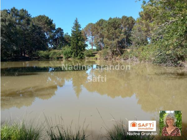 6,7 hectares de prairie, bois, étang - En zone naturelle avec une partie constructible !