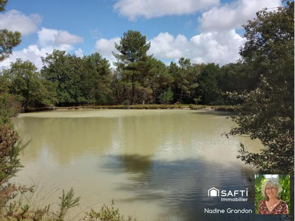6,7 hectares de prairie, bois, étang - En zone naturelle avec une partie constructible !