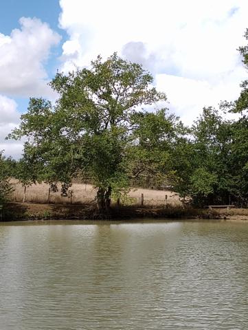 6,7 hectares de prairie, bois, étang - En zone naturelle avec une partie constructible !