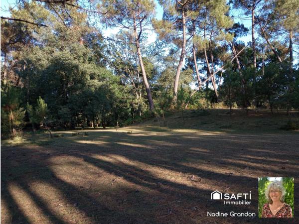 6,7 hectares de prairie, bois, étang - En zone naturelle avec une partie constructible !