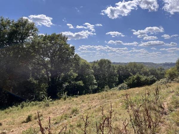 Terrain à vendre |  Altillac |  2800 m²