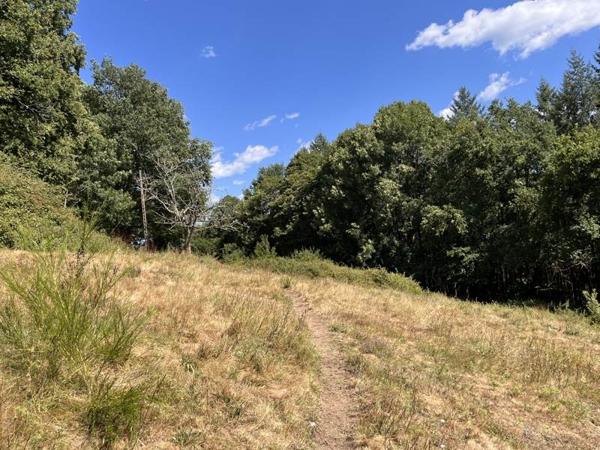 Terrain à vendre |  Altillac |  2800 m²