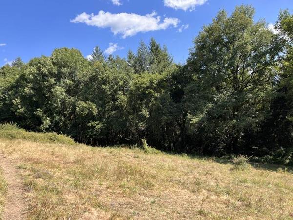 Terrain à vendre |  Altillac |  2800 m²