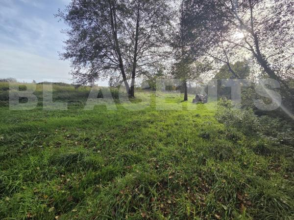 Terrain constructible avec étang