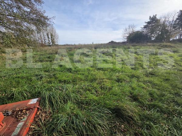 Terrain constructible avec étang