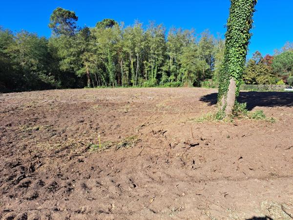 Terrain à bâtir