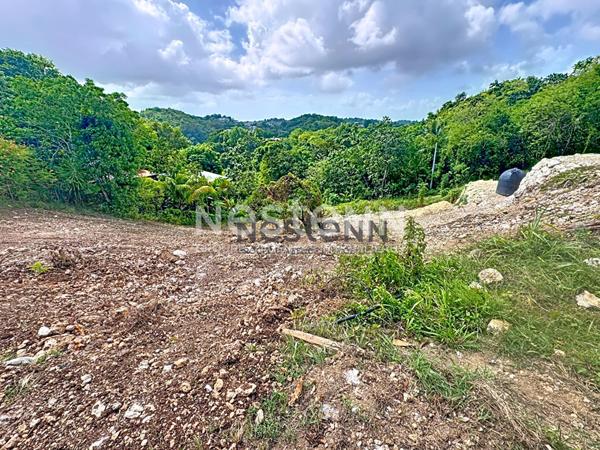 A VENDRE TERRAIN A BATIR de 1800 m2 a Gosier Mathurin