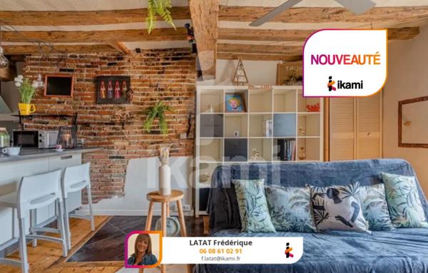 Magnifique appartement meublé T 2  plein centre Grenoble