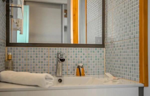 Magnifique appartement meublé T 2  plein centre Grenoble