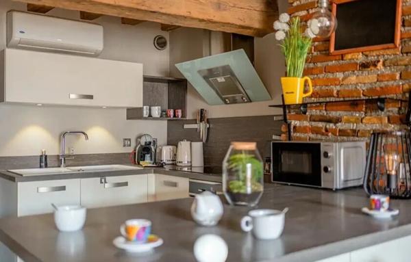 Magnifique appartement meublé T 2  plein centre Grenoble