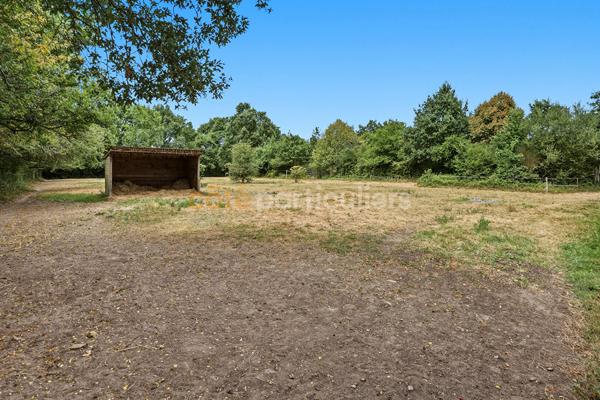 Vente
                Maison270 m² - 7 Pièces -
                    MACHECOUL SAINT MEME (44270)