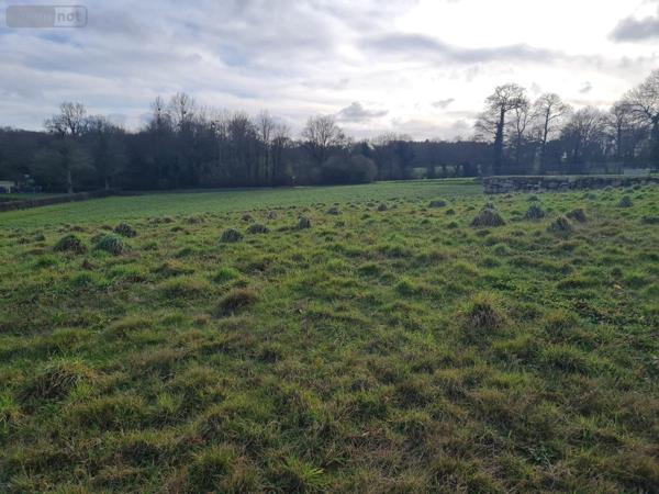 Terrain à Batir à vendre à Pleugriffet dans le Morbihan (56120), ref : 56053-2511