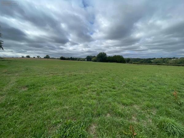 Achat - Maison Javron-les-Chapelles 53250 2 pièces 85 m 2 1 m 2
