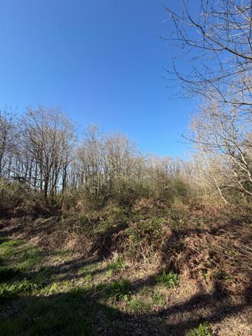 Bois-de-Céné (85710) BOIS-DE-CENE - TERRAIN BOISE DE PLUS DE 1 600 M2