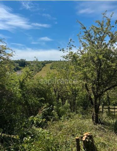 Terrain à vendre  VAUX (89)