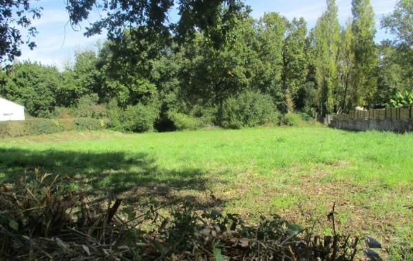 Vente Terrain Sainte-foy   