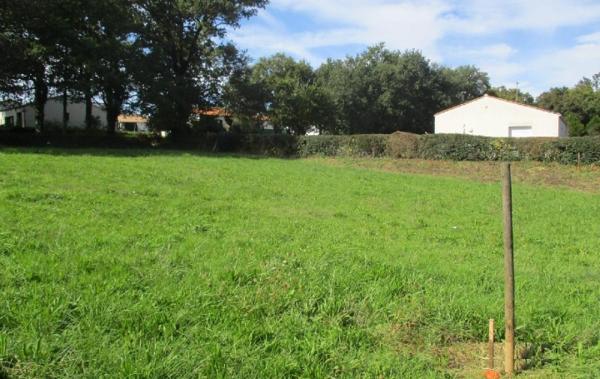 Vente Terrain Sainte-foy   