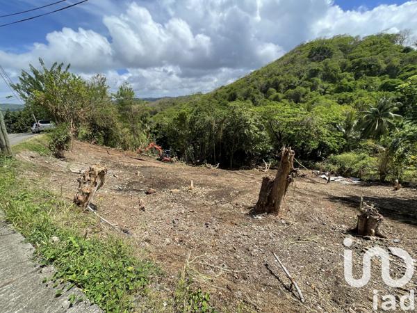 Terrain à vendre 2 597 m² La Trinité