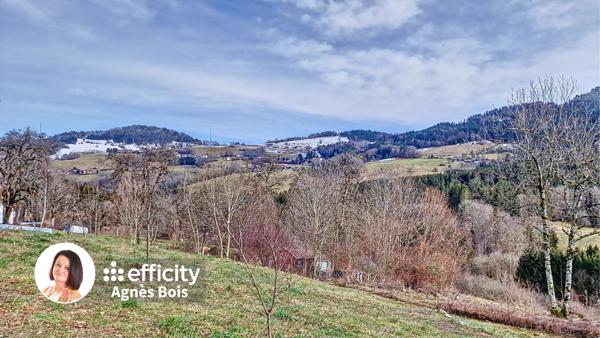 Appartement 3 pièces - 60 m² Exclusivité efficity